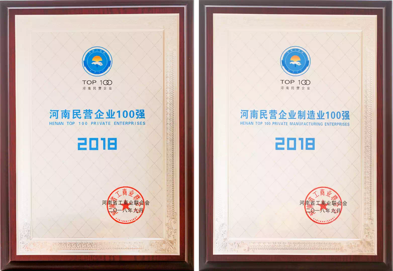 Henan Top 100 Private Enterprises